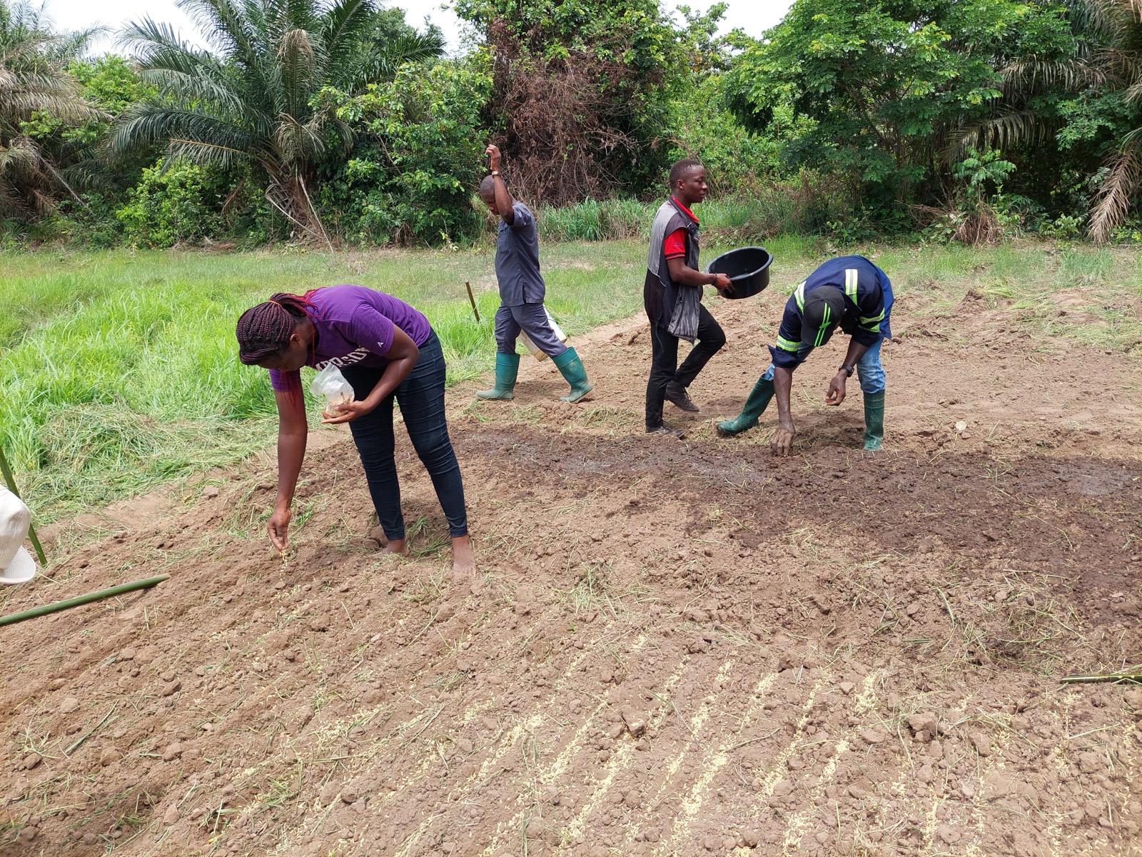 Sustainable Farming