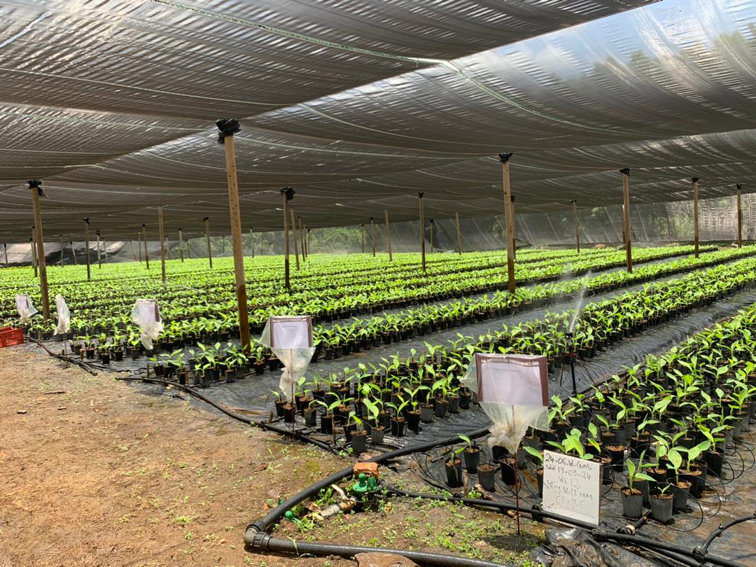 Smart Farm